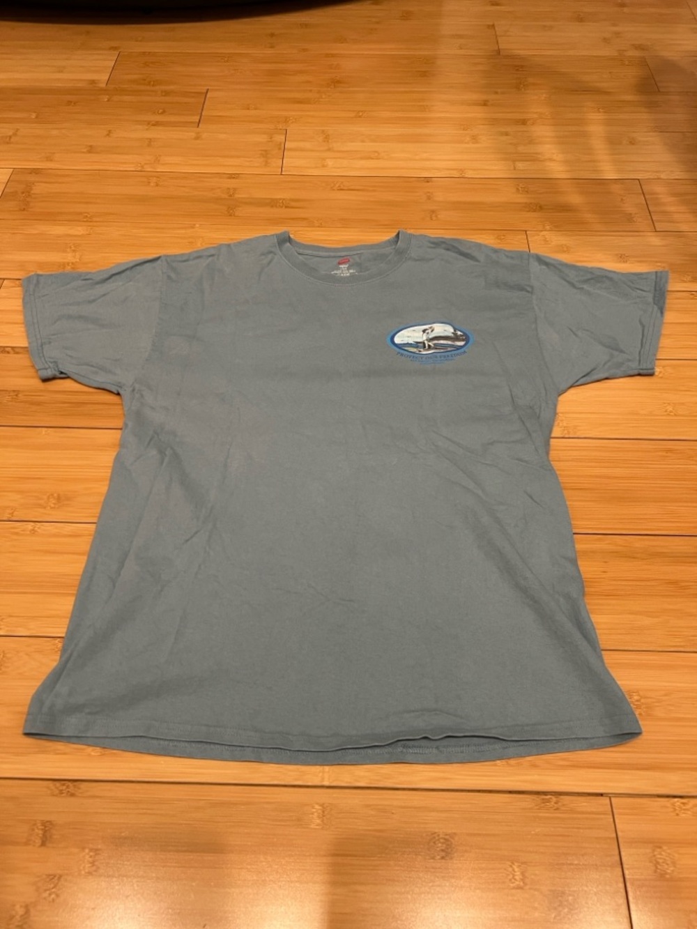 Hanes Light Blue Short Sleeve Graphic Tee
